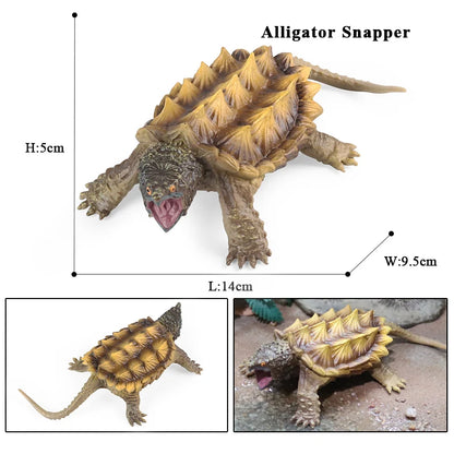 Oenux Ocean Animals  Leatherback Tortoise Turtle Growth Cycle Sea Life Model Figurines Action Figures PVC Education Kid Toy Gift