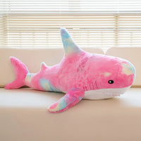 d-p rainbow shark