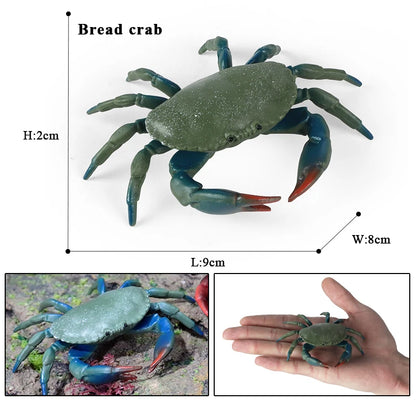 Oenux Simulation Ocean Sea Life Animals Model Lovely Crab Action Figures Toy Cake Toppers Collection Jouet Kids Education Gift