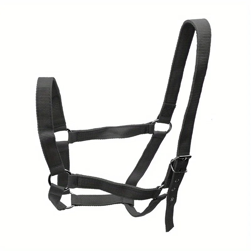 Professional Adjustable Horse Halter Equestrian Bridle Headcollar Ideal for Horse Training and Outdoor Riding