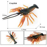 Shrimp model 10