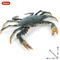 Crab model 8