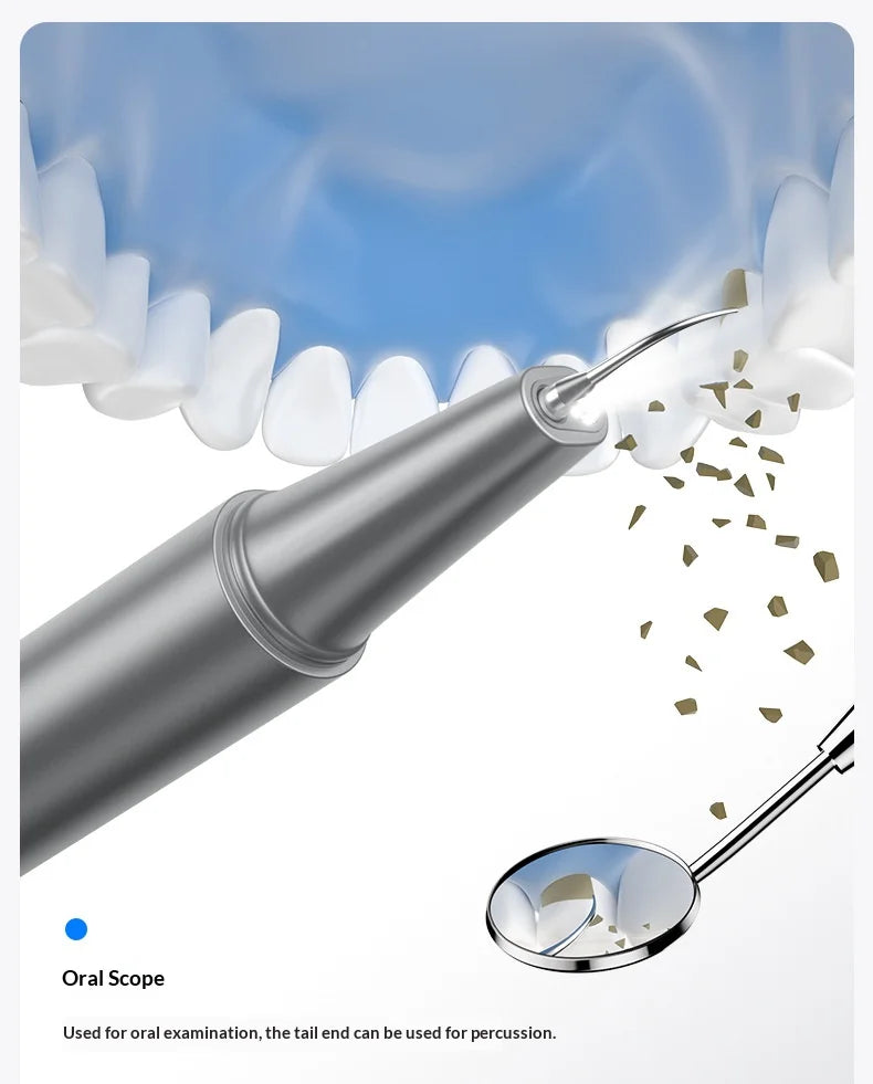 HOMEFISH Home Dental Cleaning Device Professional Tool for Removing Tartar Plaque And Calculus with Visual Technology