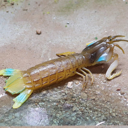 Oenux Ocean Animals Simulation Tiger Prawn Crayfish Shrimp Sea Life Model Figurines Action Figures Collection Toys For Kids Gift