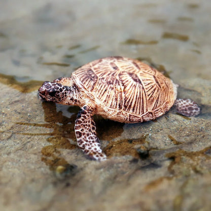 Oenux Ocean Animals  Leatherback Tortoise Turtle Growth Cycle Sea Life Model Figurines Action Figures PVC Education Kid Toy Gift