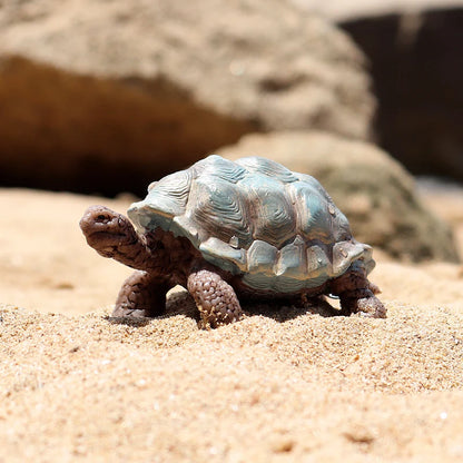 Oenux Ocean Animals  Leatherback Tortoise Turtle Growth Cycle Sea Life Model Figurines Action Figures PVC Education Kid Toy Gift