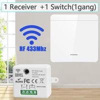 1 Receiver 1 Switch